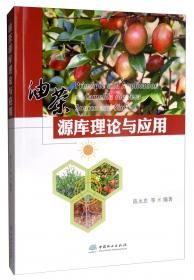 油茶树体培育技术