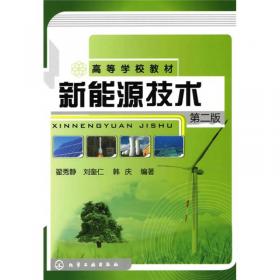 新能源技术（翟秀静）（第四版） 大中专理科科技综合 翟秀静、刘奎仁、韩庆、符岩 编 新华正版