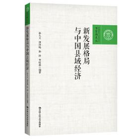 中国区域经济发展报告（2018）：回顾改革开放40周年展望新时代区域经济发展/中国人民大学研究报告系列