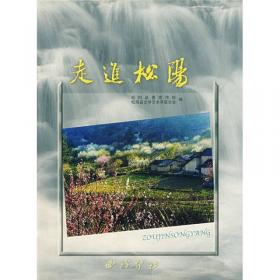 精品年鉴--松阳年鉴2023