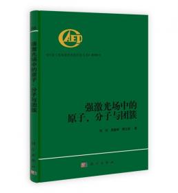 中国工程物理研究院科技丛书：高功率超宽带电磁脉冲技术