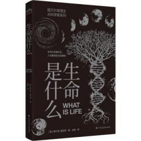 现代艺术与设计的兴起：迷人的20世纪维也纳