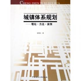中国城市化：格局·过程·机理