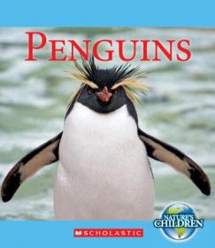 Penguin Kids 6 Animal Camouflage Reader Clil