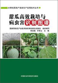 蔬菜生产技术（种植专业）（北方本）