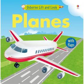 Planes for Brains: 28 Innovative Origami Airplane Designs [With DVD]