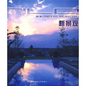 新景观2008-2010（第3卷）