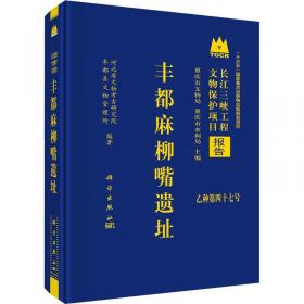 岳飞十八谈 中国历史  新华正版