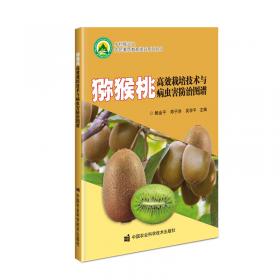 猕猴桃优质丰产 栽培与加工利用