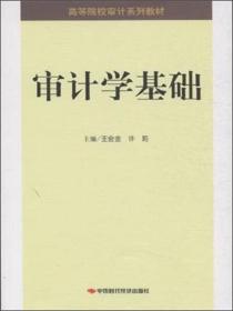 重要性与审计风险（最新审计技术方法丛书）