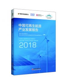 国际可再生能源发展报告（2018）