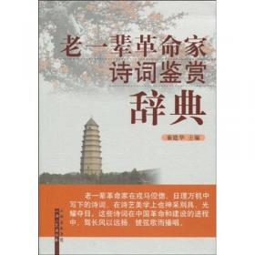 中国西南地区重要矿产成矿规律/西南地区矿产资源潜力评价成果系列丛书