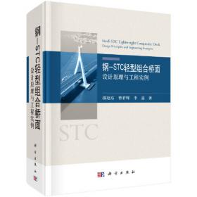 钢-混凝土组合结构/土木工程系列丛书
