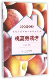 绿色果品高效生产关键技术丛书：桃绿色高效生产关键技术