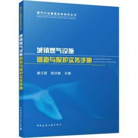 城镇化健康发展协同创新理论与实践