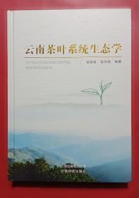 云南诸葛亮南征传说研究