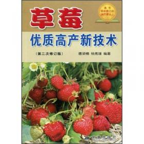 草莓无公害高效栽培