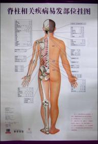 世界手法医学与传统疗法系列丛书：图解脊柱整治三联手法