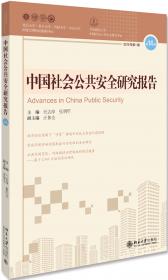 中国社会公共安全研究报告(第12辑) 