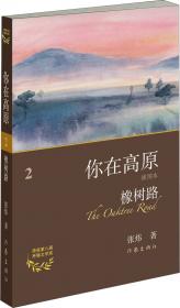 橡树学术丛书・稗海探骊――古代小说新论