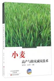 一本书明白小麦绿色高效生产技术