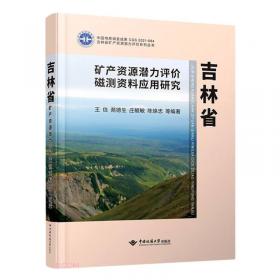 全国风险管理体系的构建与实践：兖矿集团全国风险管理研究报告