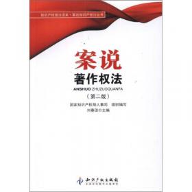 中国知识产权评论（第3卷）