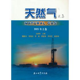 中国天然气地下储气库