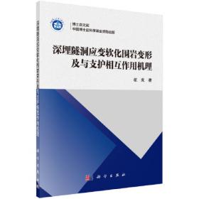 深埋围岩损伤演化理论与工程实践