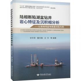 陆相页岩层系石油地质认识与关键技术进展(精)/中国致密油勘探开发理论与技术丛书