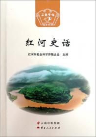 红河边的中国：滇西挂职行思录