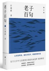 中国诗学（四卷本）