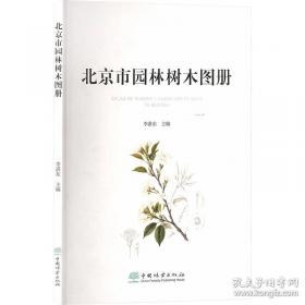 北京记忆·皇城童话《等等，绣球花》
