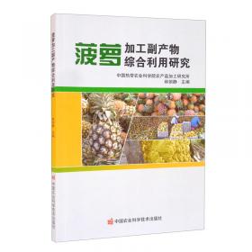 菠萝探长1分钟探案-博物馆案 儿童文学 河北少儿出版社 新华正版