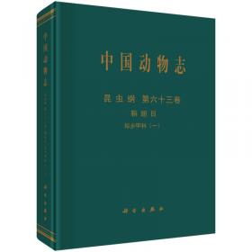 中国土壤拟步甲志2：鳖甲类