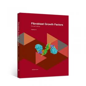 Financial Statement Analysis Workbook财务报表分析业务手册，第4版：从业指南 英文原版