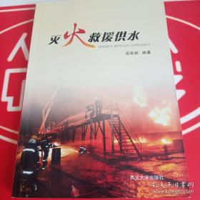 灭火：美国金融危机及其教训