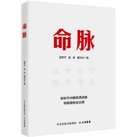 命脉(中国水利调查)