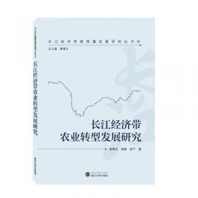 长江经济带文化发展研究