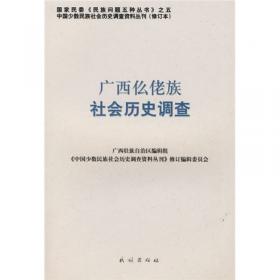 广西壮族社会历史调查（5）