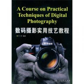 摄影构图经典法则/高等院校数字化摄影摄像专业教材系列