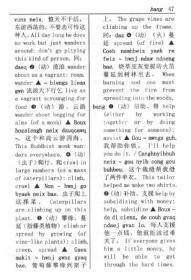 壮汉语同源词研究