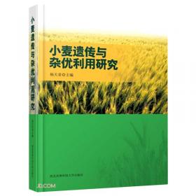 小麦秸秆还田下玉米机械智能装备设计方法