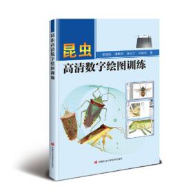 昆虫记/大语文新阅读经典书系