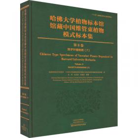 哈佛大学给青少年的励志课：哈佛凌晨四点半（白金珍藏版）