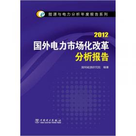 能源与电力分析年度报告系列：2012世界能源与电力发展状况分析报告