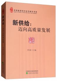 新供给经济学：理论与实践（中国经济问题丛书）