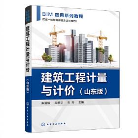BIM系列应用教程--建筑工程计量与计价（河南版）