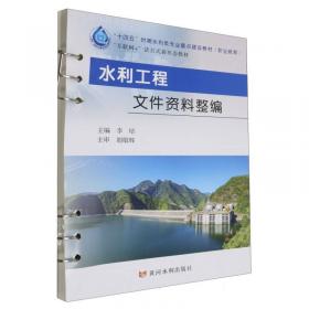 水利工程除险加固技术丛书：水闸工程除险加固技术