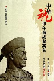 国家安全战略研究丛书：中国城市安全评论（第一卷）